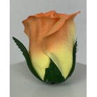 Róża wyrobowa PALOMA 12 szt. kolor HB1