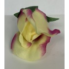 Róża wyrobowa PALOMA 12 szt. kolor J4