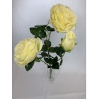 Bukiet Róża X 3 gigant kolor 1