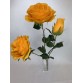 Bukiet Róża X 3 gigant kolor 4