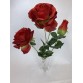 Bukiet Róża X 3 gigant kolor 6