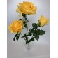 Bukiet Róża X 3 gigant AFL0688 kolor 3