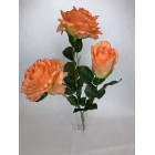 Bukiet Róża X 3 gigant AFL0688 kolor 4