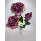 Bukiet Róża X 3 gigant AFL0688 kolor 5